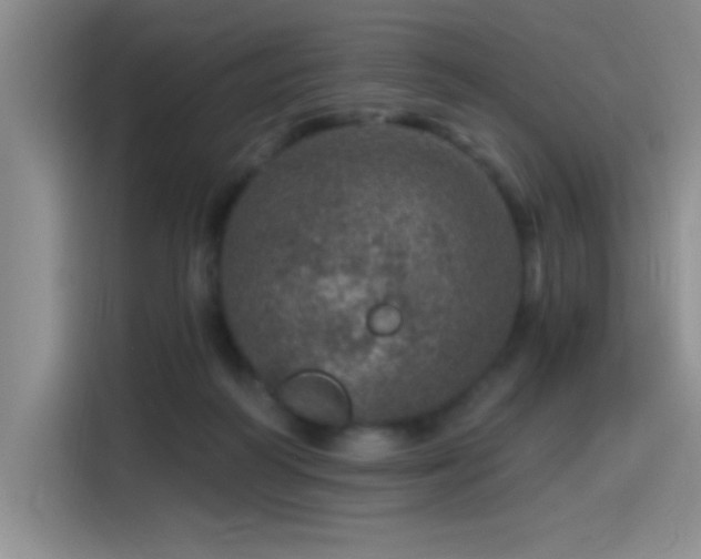 X0000115650218200911171449