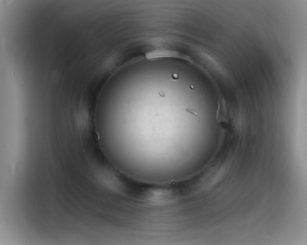 X0000115650220200911171449