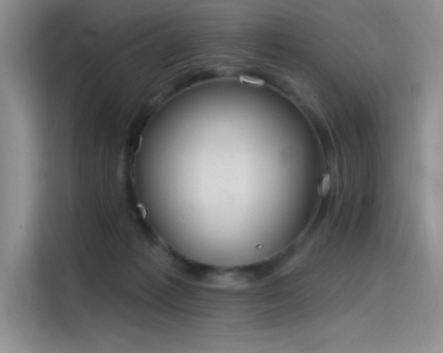 X0000115650221200911171449