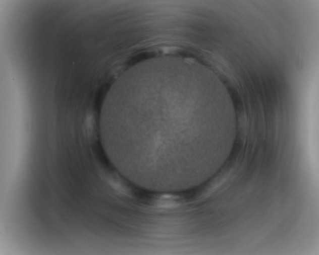 X0000115650222200911171449