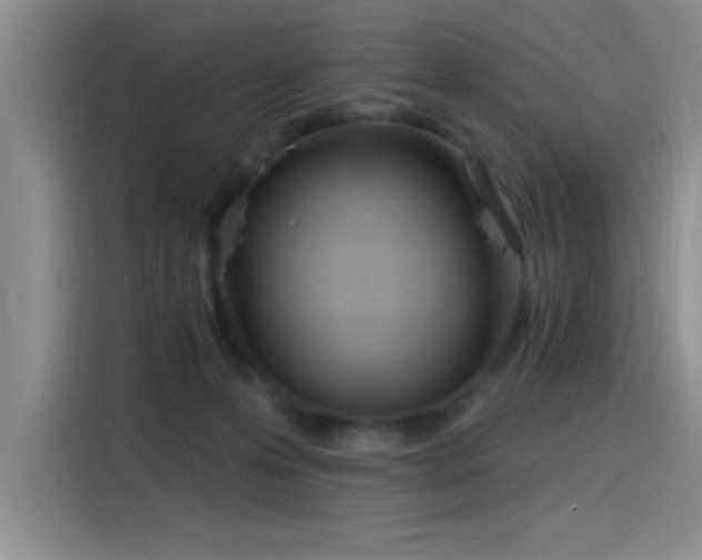 X0000115650223200911171449