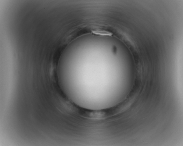 X0000115650225200911171449