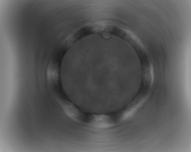 X0000115650226200911171449