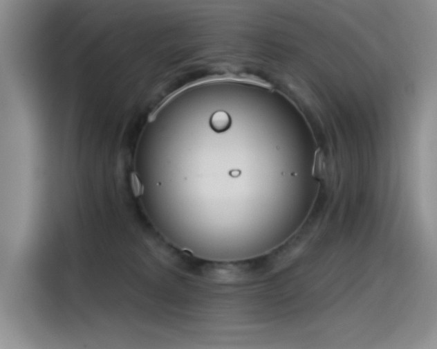 X0000115650229200911171449