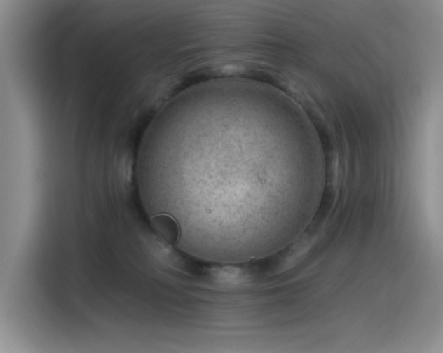 X0000115650230200911171449