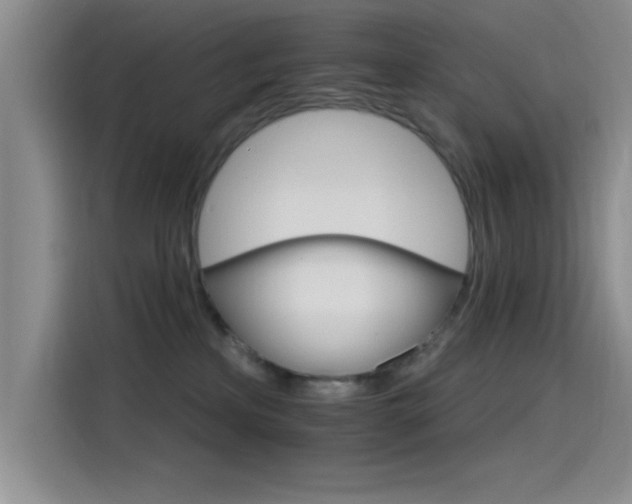 X0000115650233200911171449