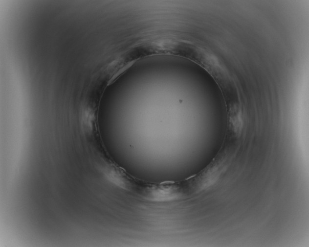 X0000115650235200911171449