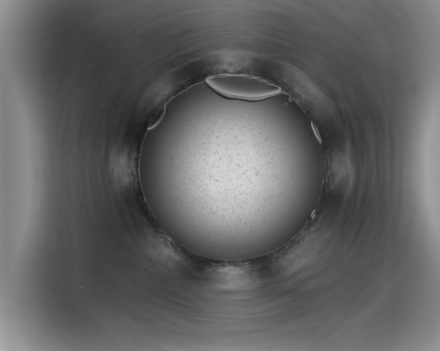 X0000115650236200911171449