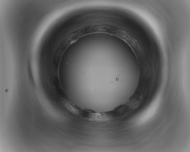 X0000115650239200911171449