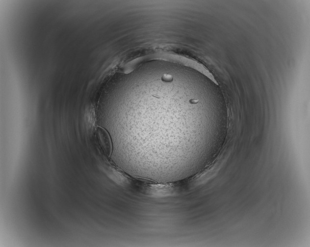 X0000115650240200911171449