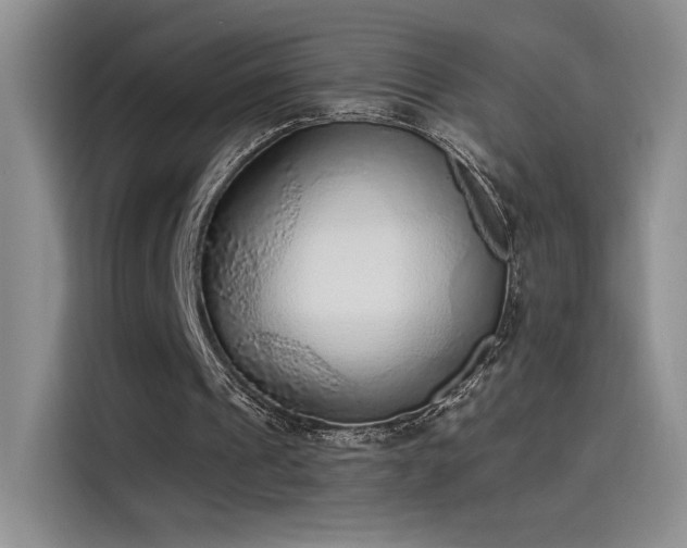 X0000115650241200911171448