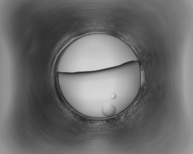 X0000115650243200911171448