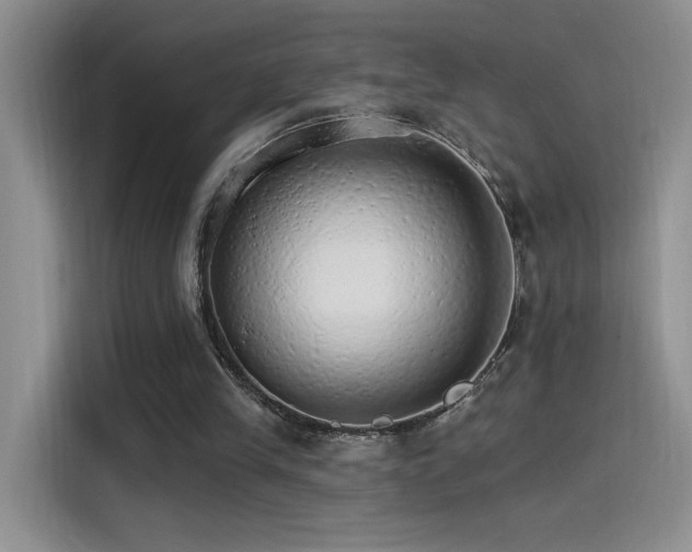 X0000115650245200911171448