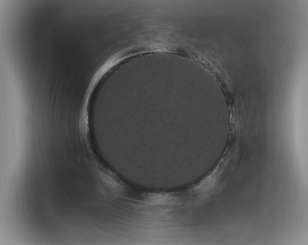 X0000115650246200911171448