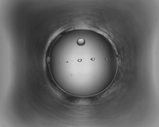 X0000115650248200911171448