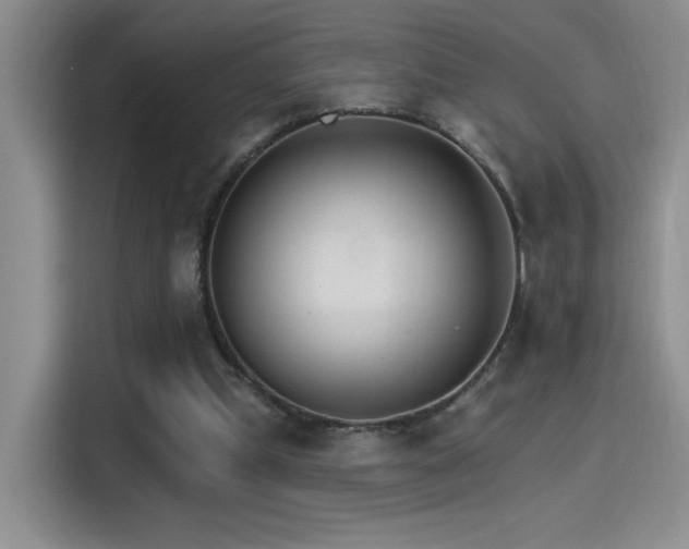 X0000115650249200911171448