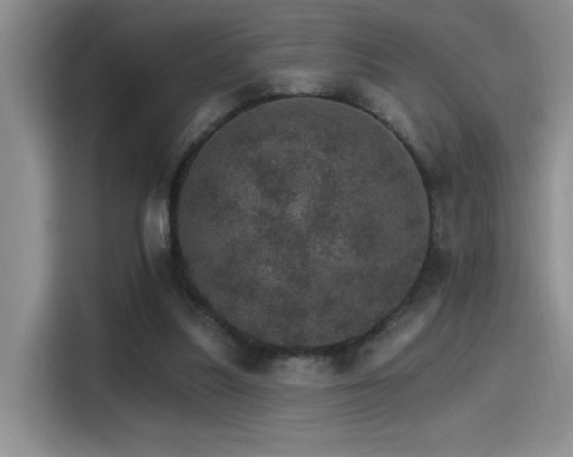 X0000115650251200911171448