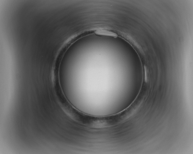 X0000115650252200911171448