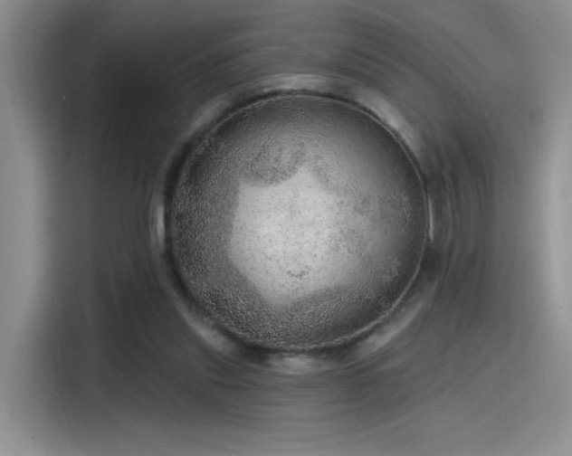 X0000115650253200911171448