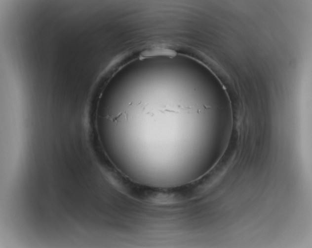 X0000115650256200911171448