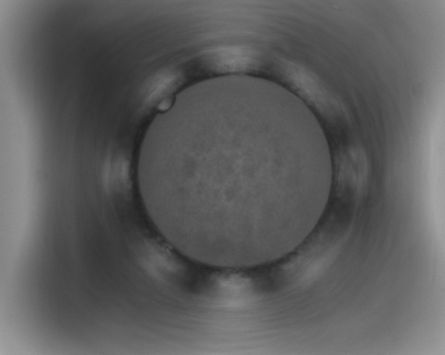 X0000115650258200911171448