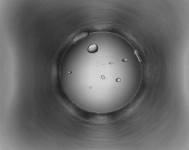 X0000115650260200911171448