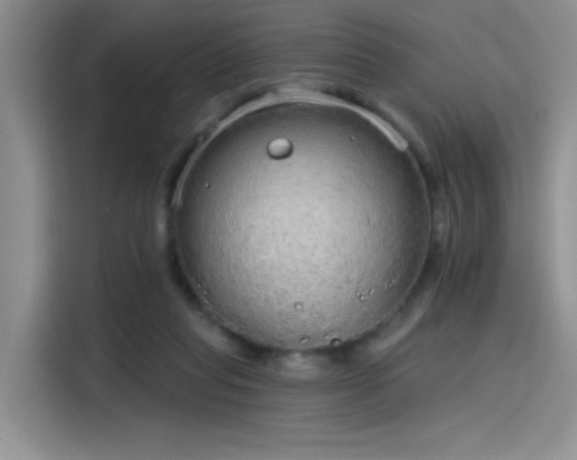 X0000115650261200911171448