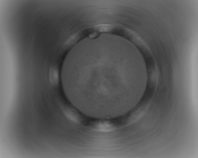 X0000115650262200911171448