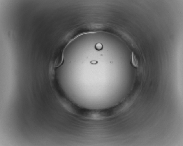 X0000115650264200911171448