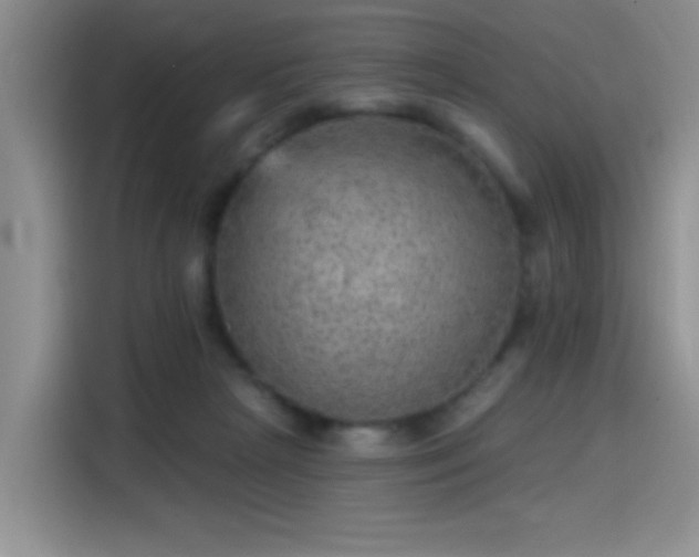 X0000115650265200911171448