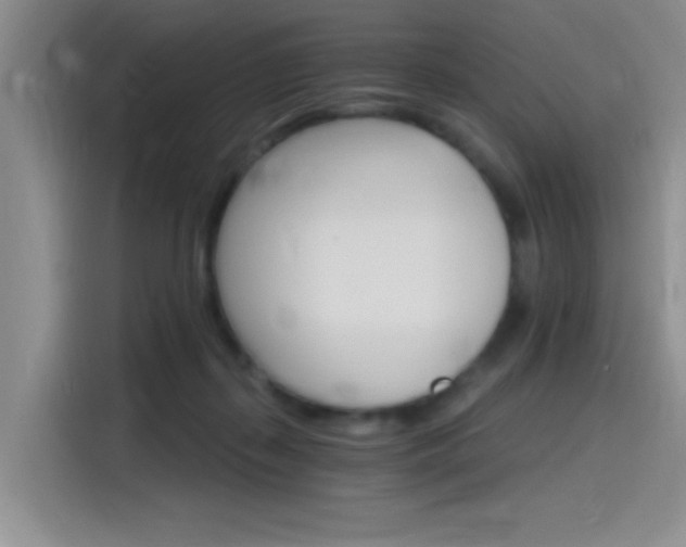 X0000115650267200911171448