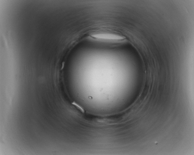 X0000115650268200911171448