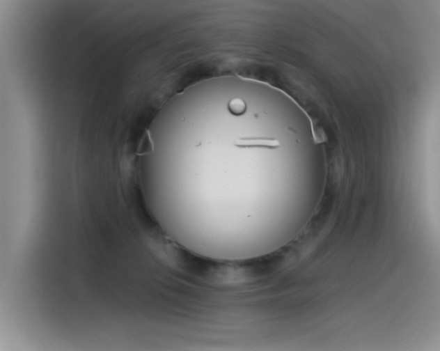 X0000115650276200911171448