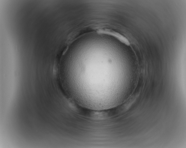 X0000115650277200911171448