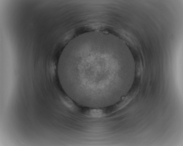 X0000115650279200911171448