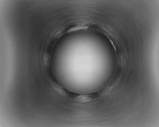 X0000115650280200911171448