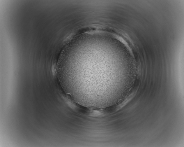 X0000115650285200911171448