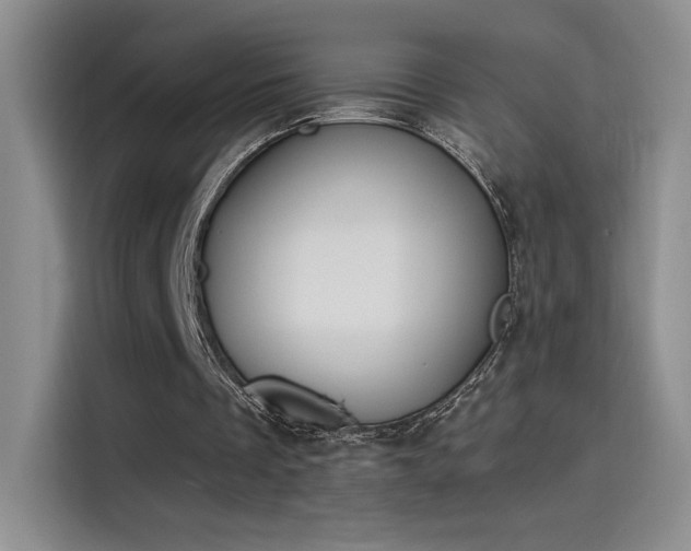 X0000115650289200911171448