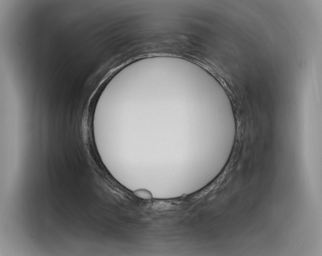 X0000115650290200911171448