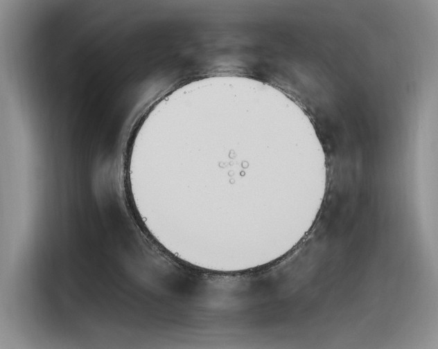 X0000115650293200911171448