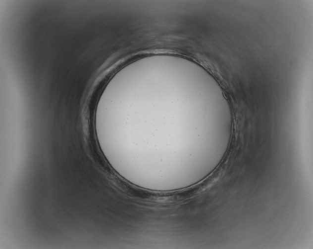 X0000115650295200911171448