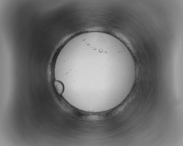 X0000115650298200911171448