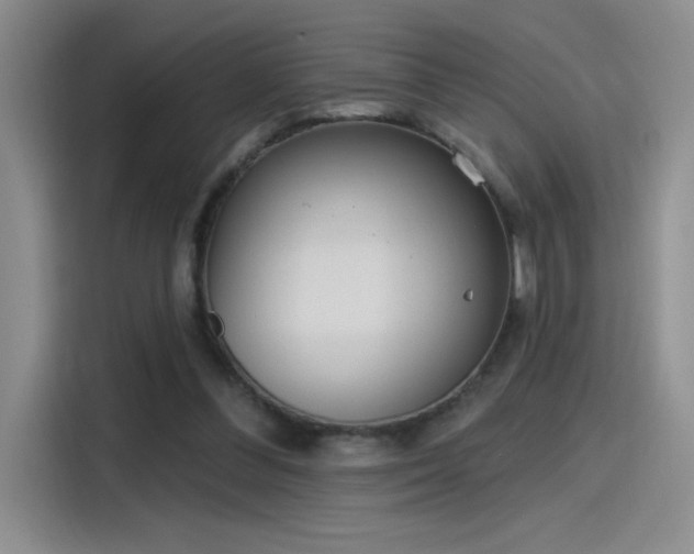 X0000115650300200911171448