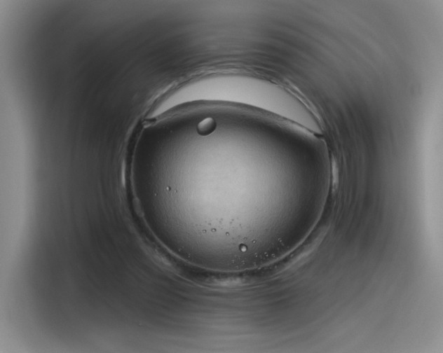 X0000115650301200911171448