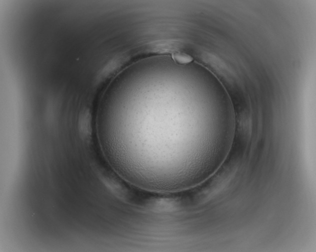 X0000115650303200911171448