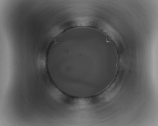 X0000115650305200911171448