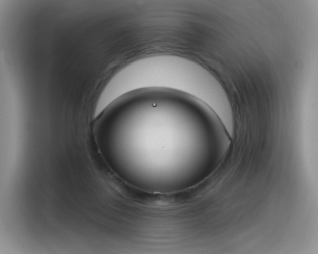 X0000115650308200911171448