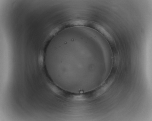 X0000115650309200911171448