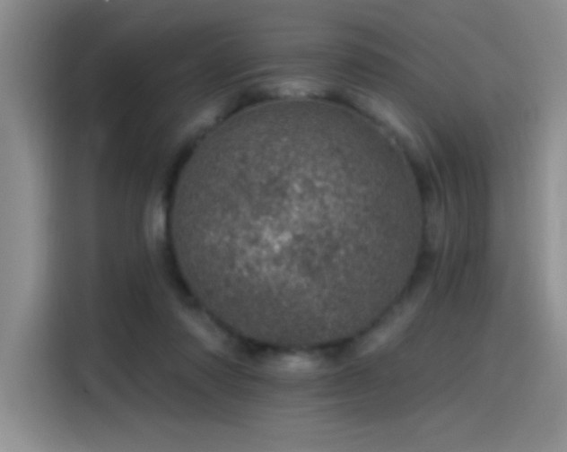 X0000115650310200911171448