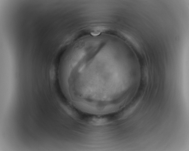 X0000115650311200911171448